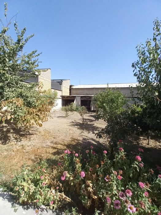 Хонабод Беруний куча тупикда 7.7-соток Фасад:20-метр участка сотилади