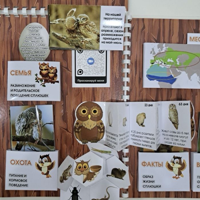 Продам лэпбуки для школы или садика