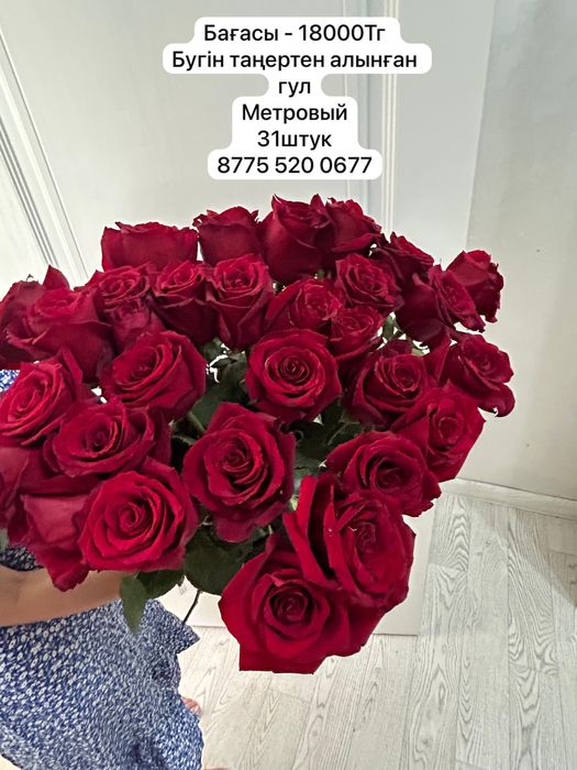 Гул 31штук метровый