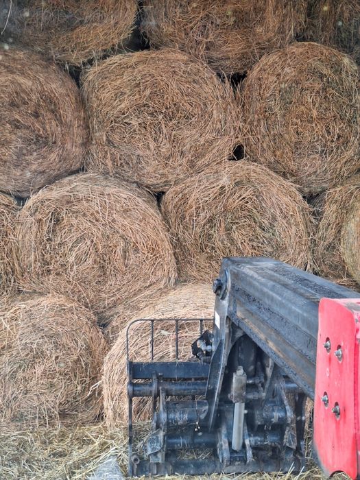 Baloți Lucernă fîn paie de vînzare