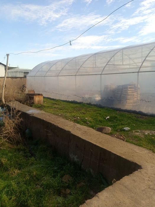 Тўй тепа Нурафшон шахрида Ташкент вилояти4 сўтик ер участкаси сотилади