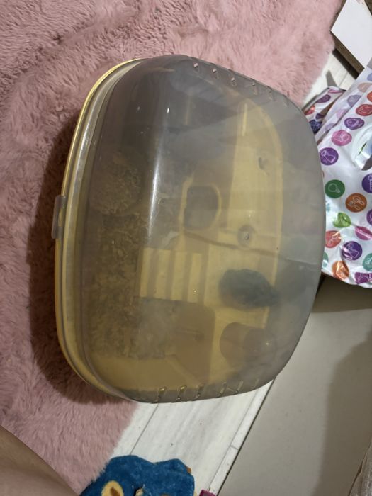 Продам клетку с хомячком