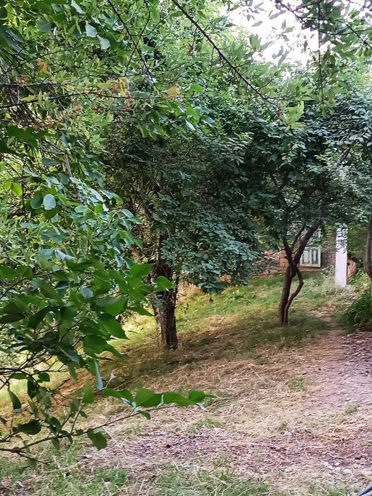Уединенная дача на Чарваке, поселок Богустан