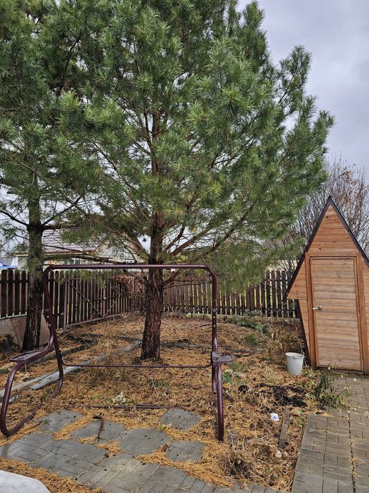 Продам дачу в с/т Эврика