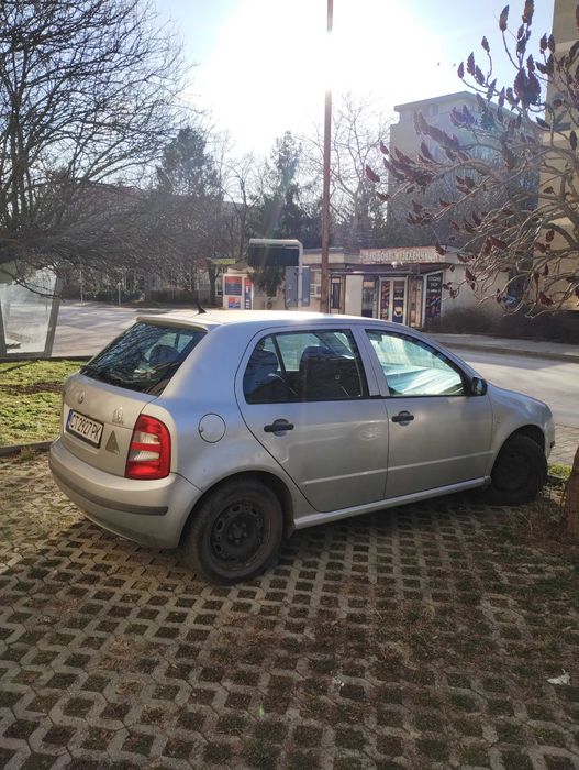 Шкода Фабия хечбег