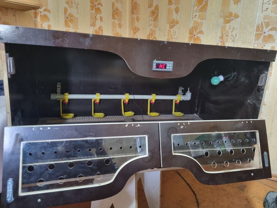 Брудер для птицы