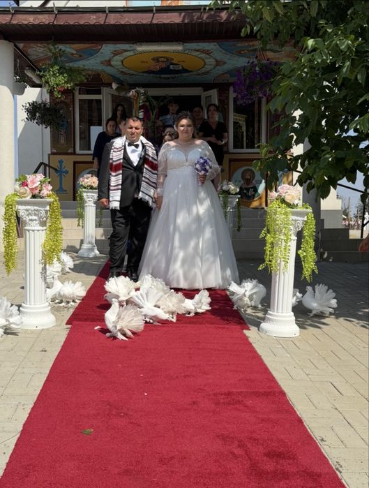 Inchiriez porumbei pentru evenimente