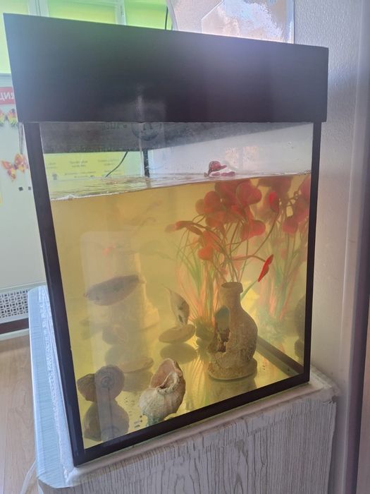 Продается аквариум с рыбками!