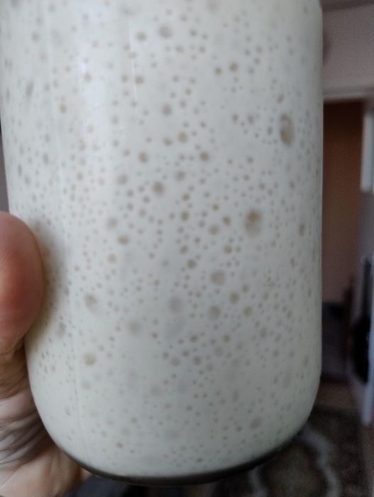 Vand maia activa proaspata si uscata