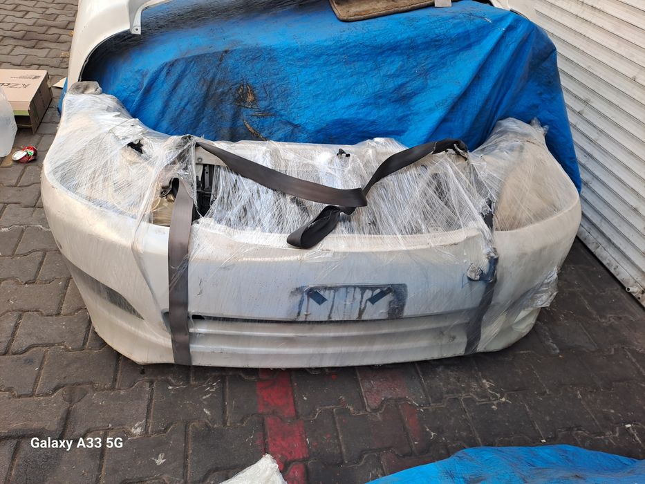 Ноускат для Ипсум