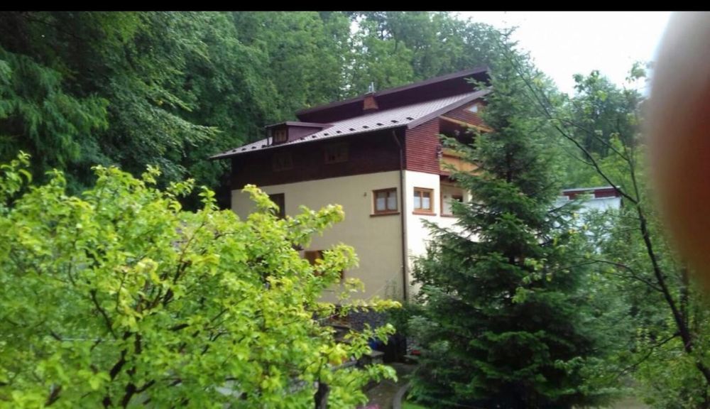 Vand Casa Valea Doftanei