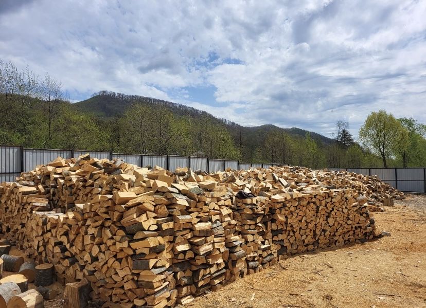 Lemne de foc esenta tare