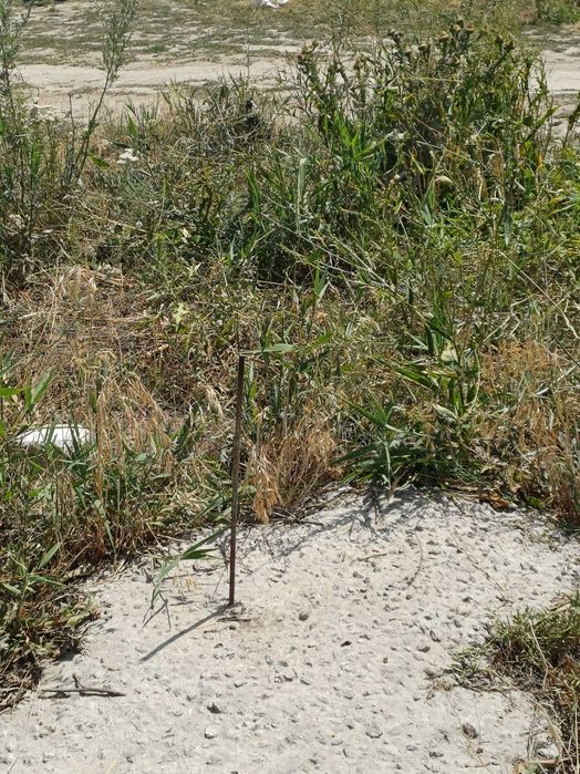 Участок ровный 5соток Долан