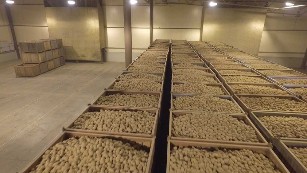 продам овощехранилище