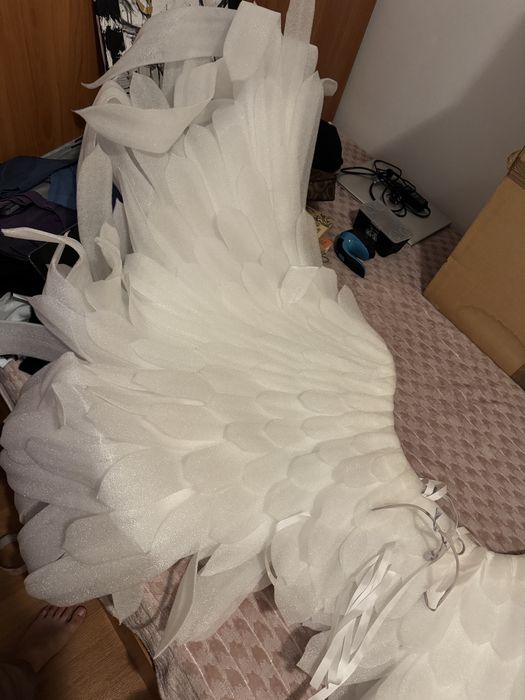 Aripi pentru sedinta foto