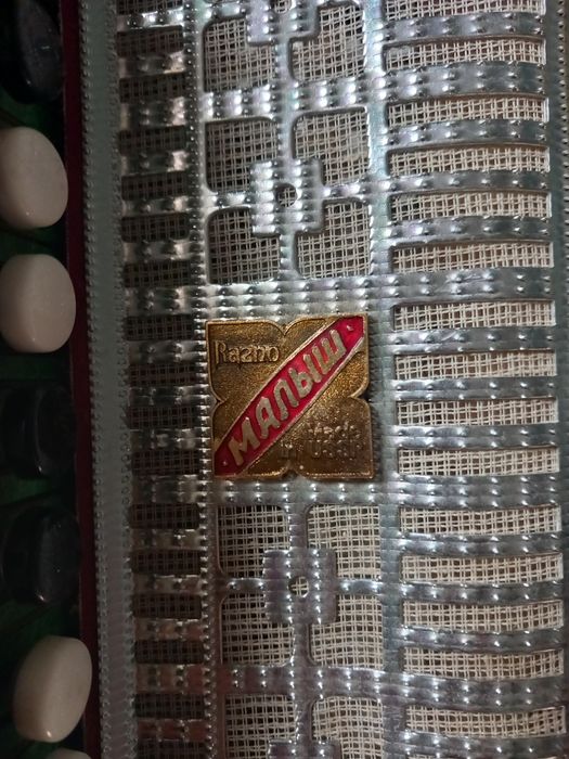 Детски  акордеон