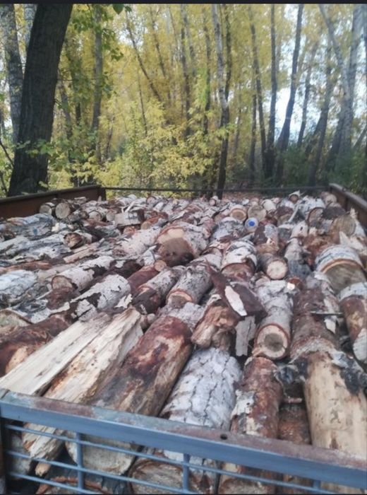 Продам Дрова чурки и ( Рублиные)