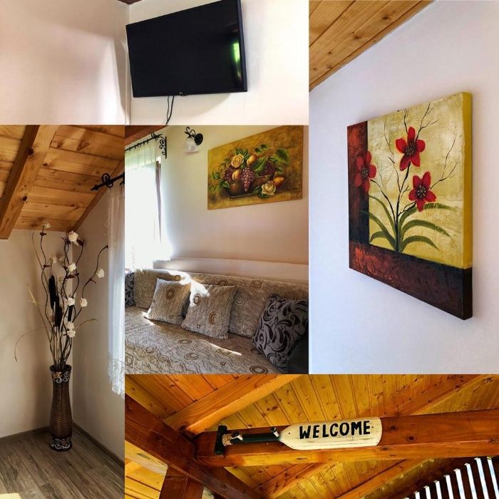 Cabana Livia - Bratca de inchiriat cu lac pentru pescuit