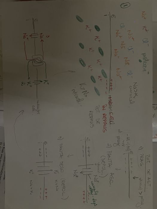 Meditatii biologie - medicina dentara/generala/veterinara
