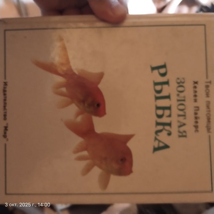 книги.книги.книги