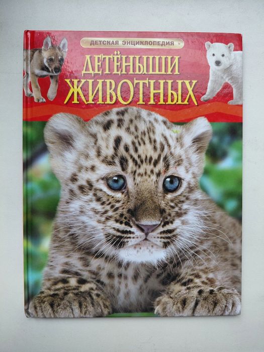 Книги (энциклопедии)
