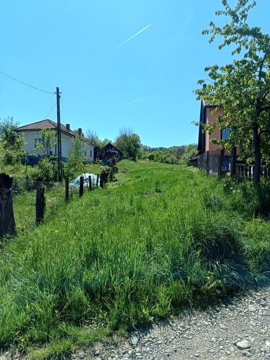 Teren de vânzare Păușești Măglași