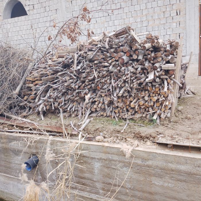 Утин дрова кесилган