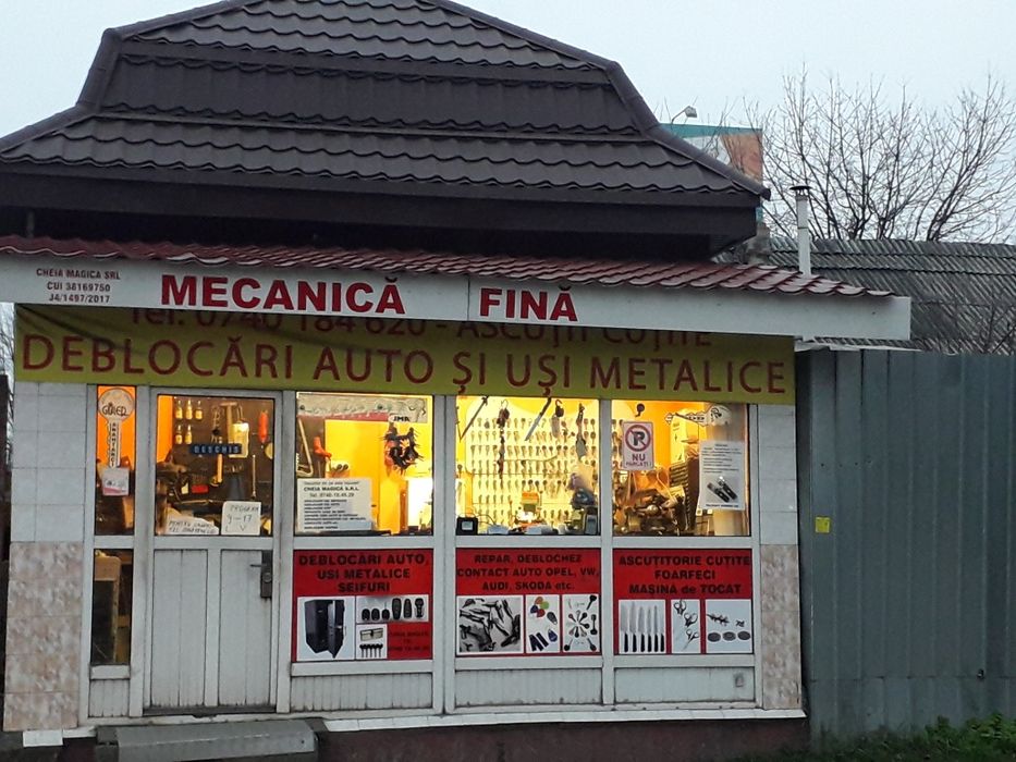 Lacatus Deblocari Usi metalice , Auto si seife ( case de bani )