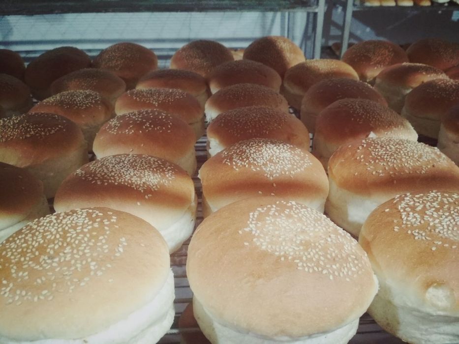 Xoddog gamburger nonlari..