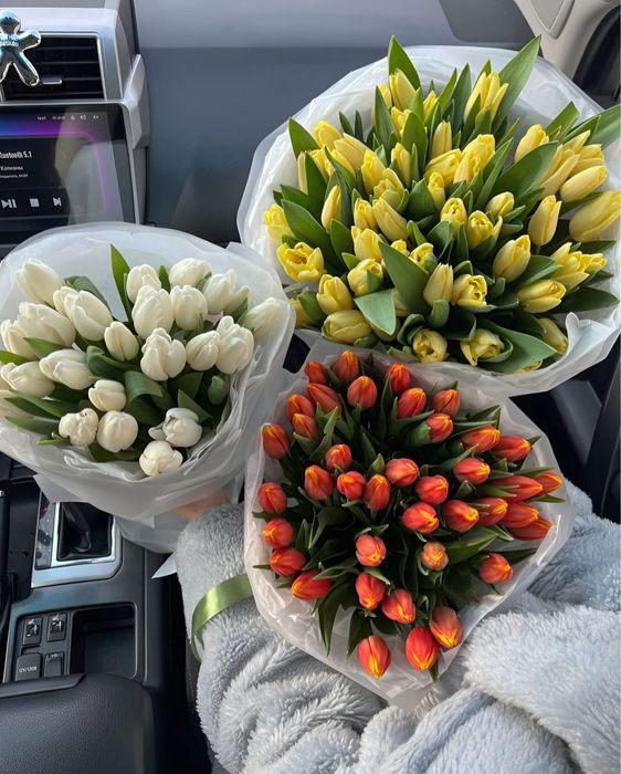 Тюльпаны к 8 марта