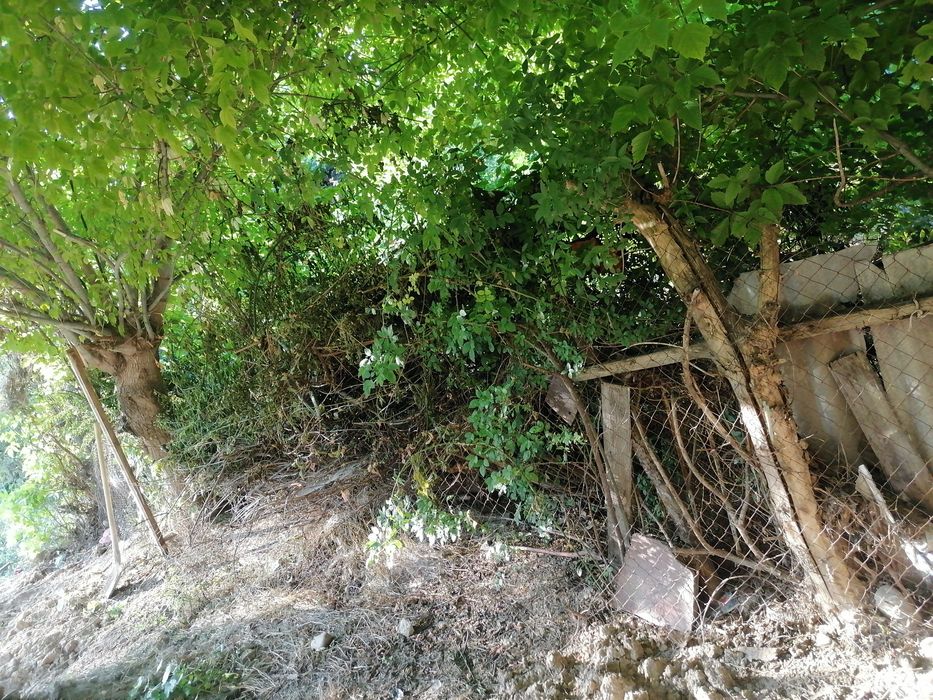 Срочно утин сотилади