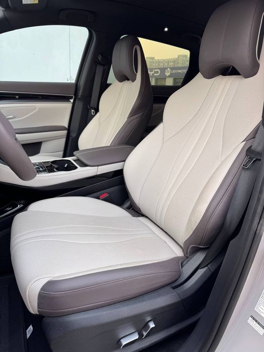 **‼️BYD chempion smart 2025‼️masla