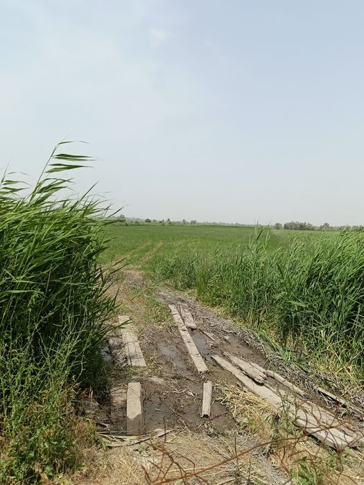 Продам участок КХ!