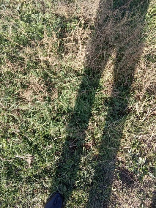 Yer uchastkasi sotiladi