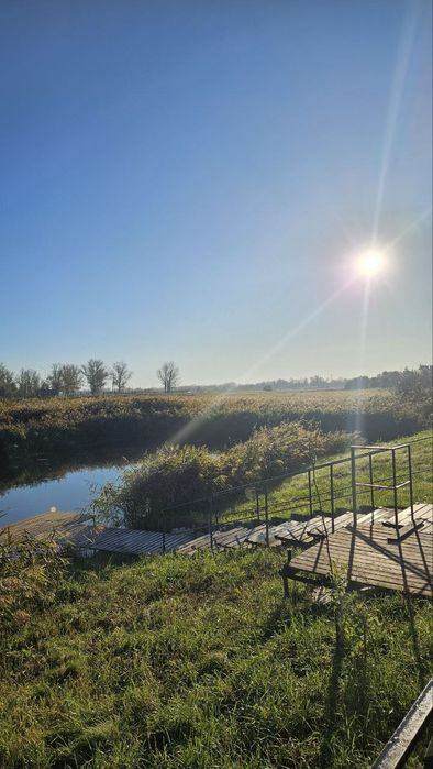 Коттедж посуточно