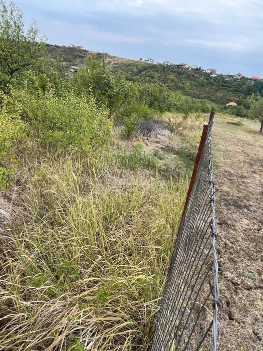 VÂND 1000 M Teren INTRAVILAN ,Zona Adevarului  Strada  LIVEZILOR