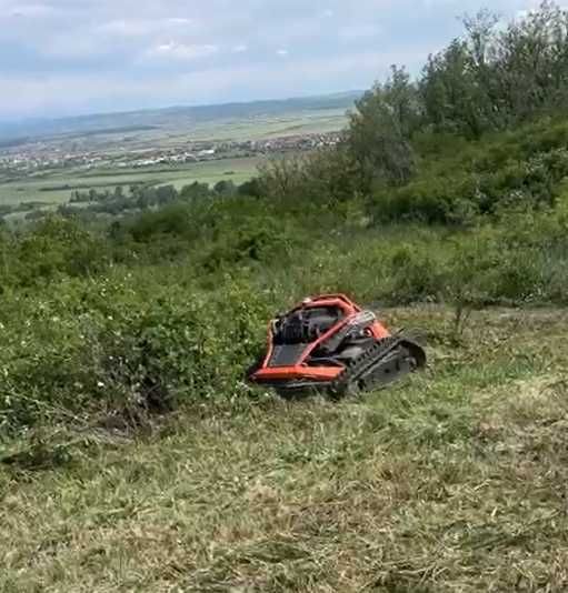 Tăiere vegetație | Defrișare terenuri | Curățare teren | Ambrozie | Cosire | Intretinere gazon | Cluj