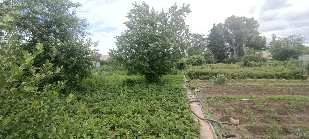 Продам дачу в с/к Автобусник.