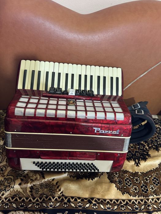 Acordeon Parott de 80 basi