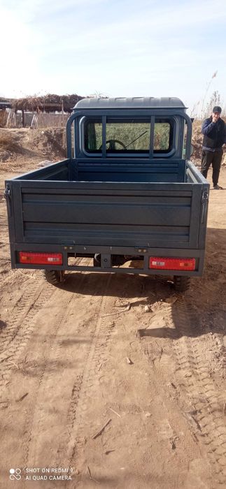 Электра муравей матаксикил