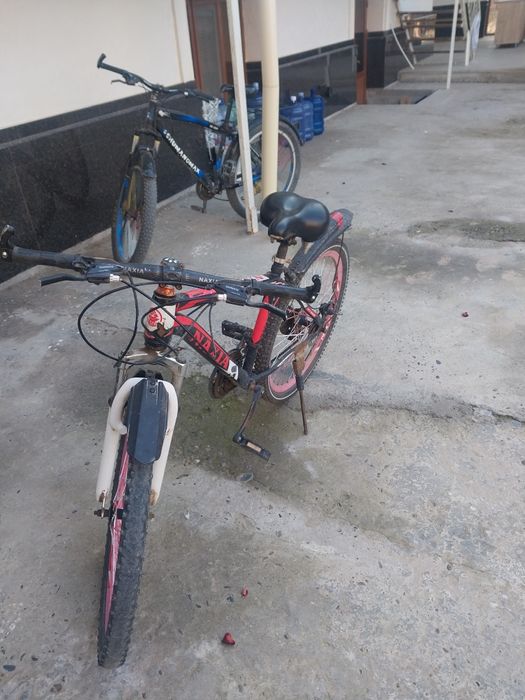 Velik  holati yaxshi ozgina ishi bor