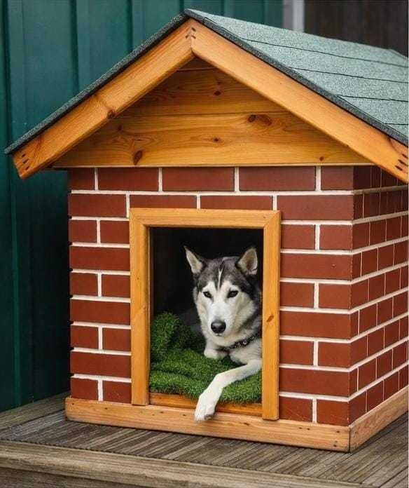Căsuță câini LUX – producător unic, izolație 10 cm, finisaje premium