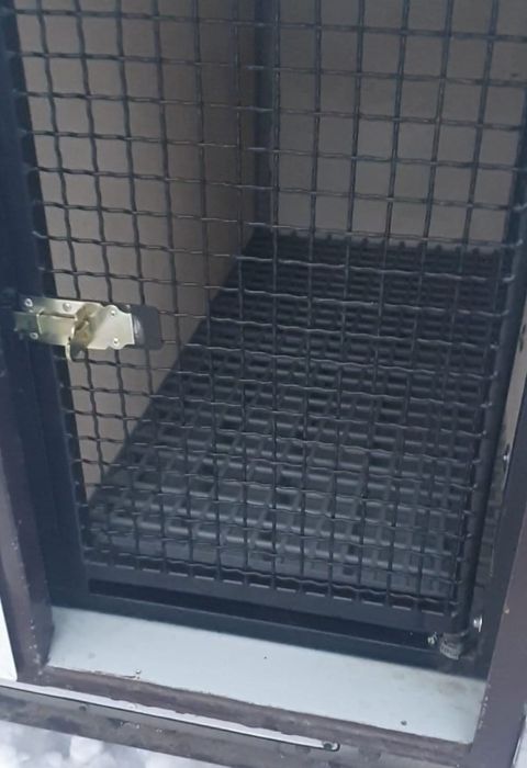 Remorcă transport câini