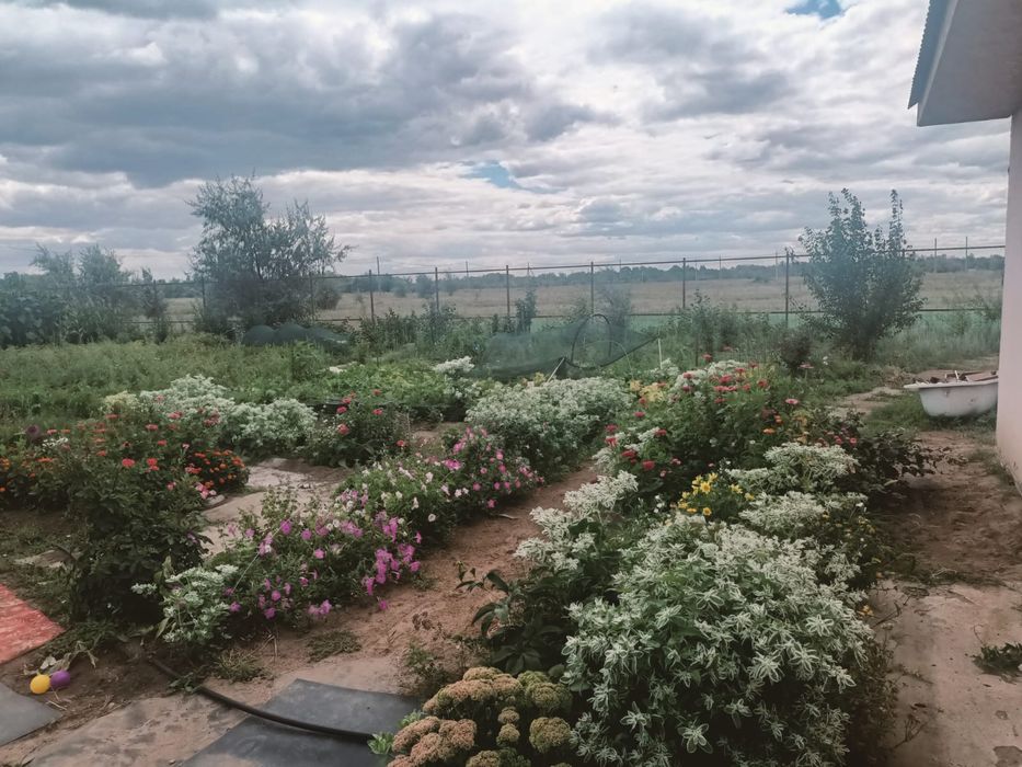 Продам дачу в "зелёном берегу"