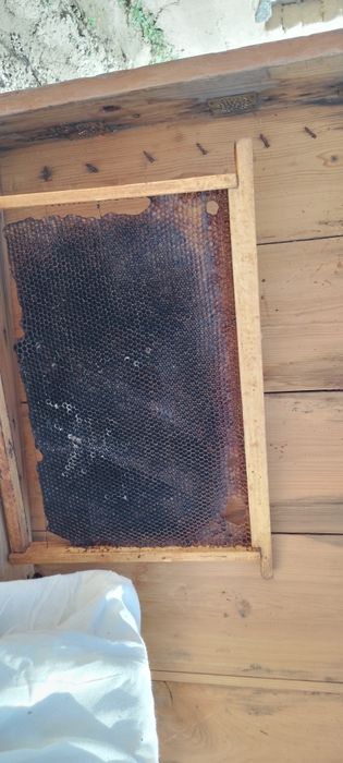 Asal yashiklari sotiladi 4 tasi optom