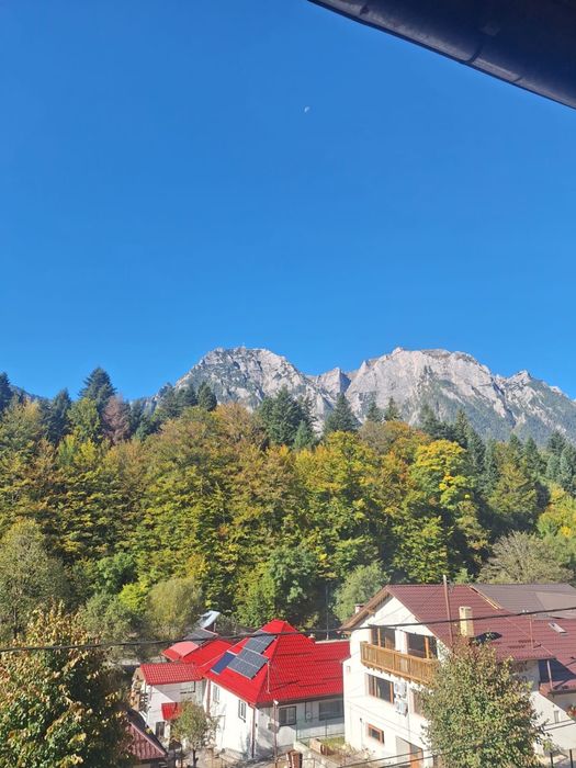 Apartament la vila in Busteni