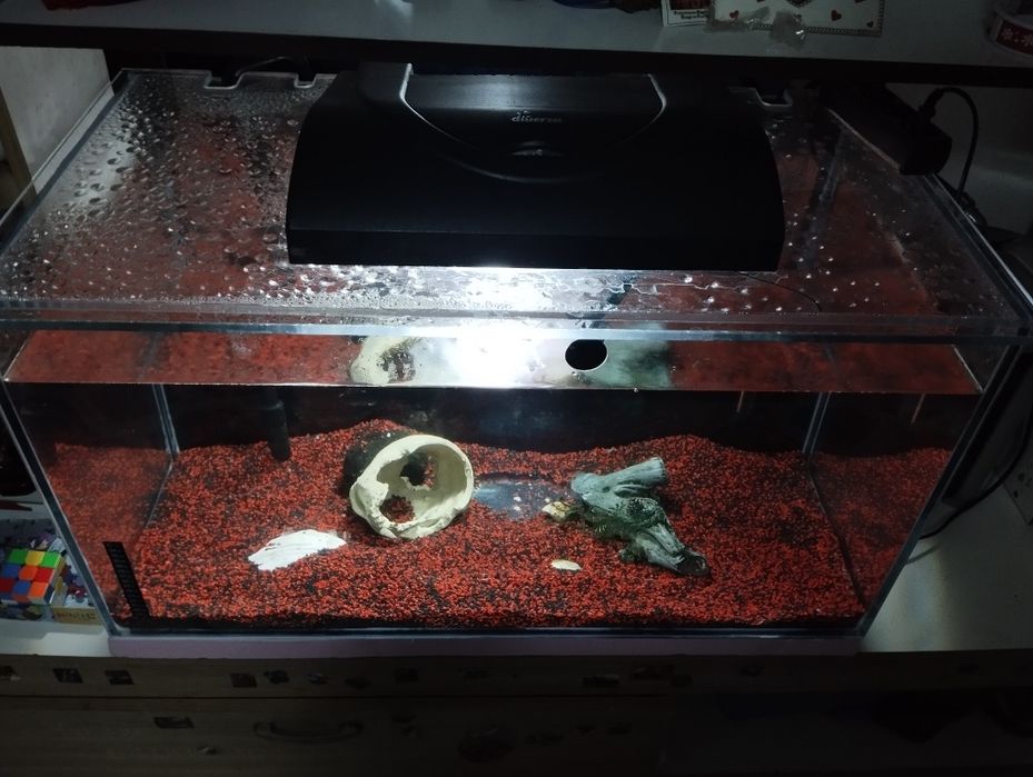 Acvariu complet echipat