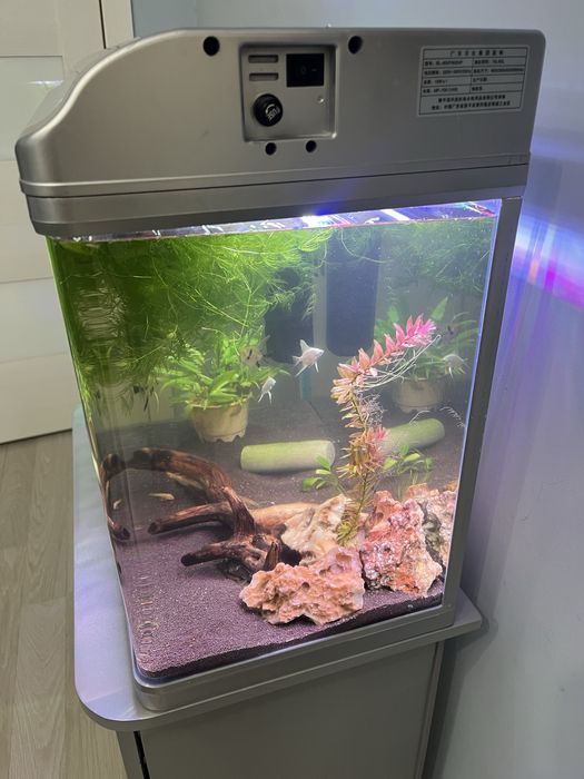 Аквариум 80 литров