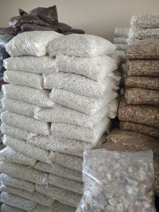 Горний белый галка