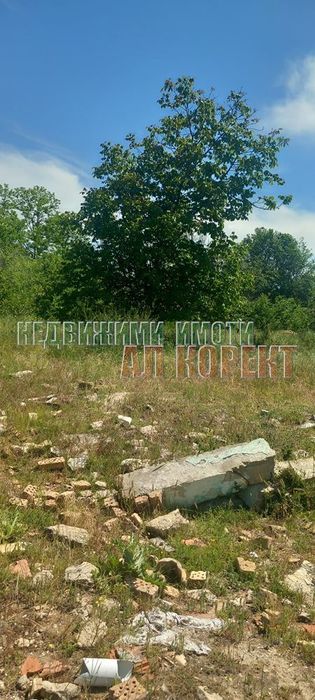 Продава се Парцел в с. Кривня, Област Варна - 2620 кв.м за 10 €/кв.м - Снимка #2